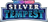 Pokémon TCG: SWSH - Silver Tempest